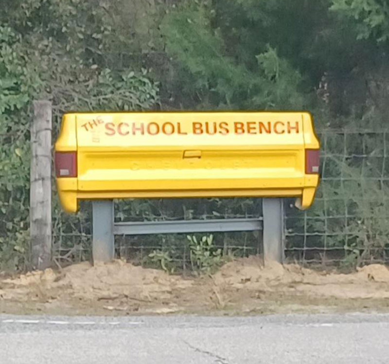 Someone transformed a tailgate into a pull-down bench at a rural school bus stop