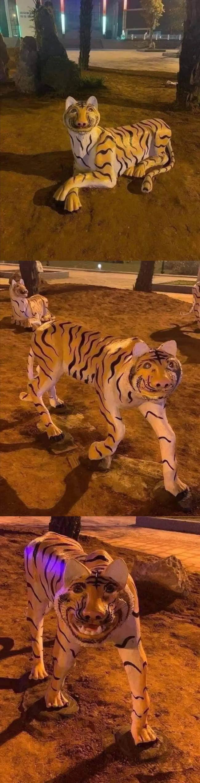 You know what tigers look like, right?