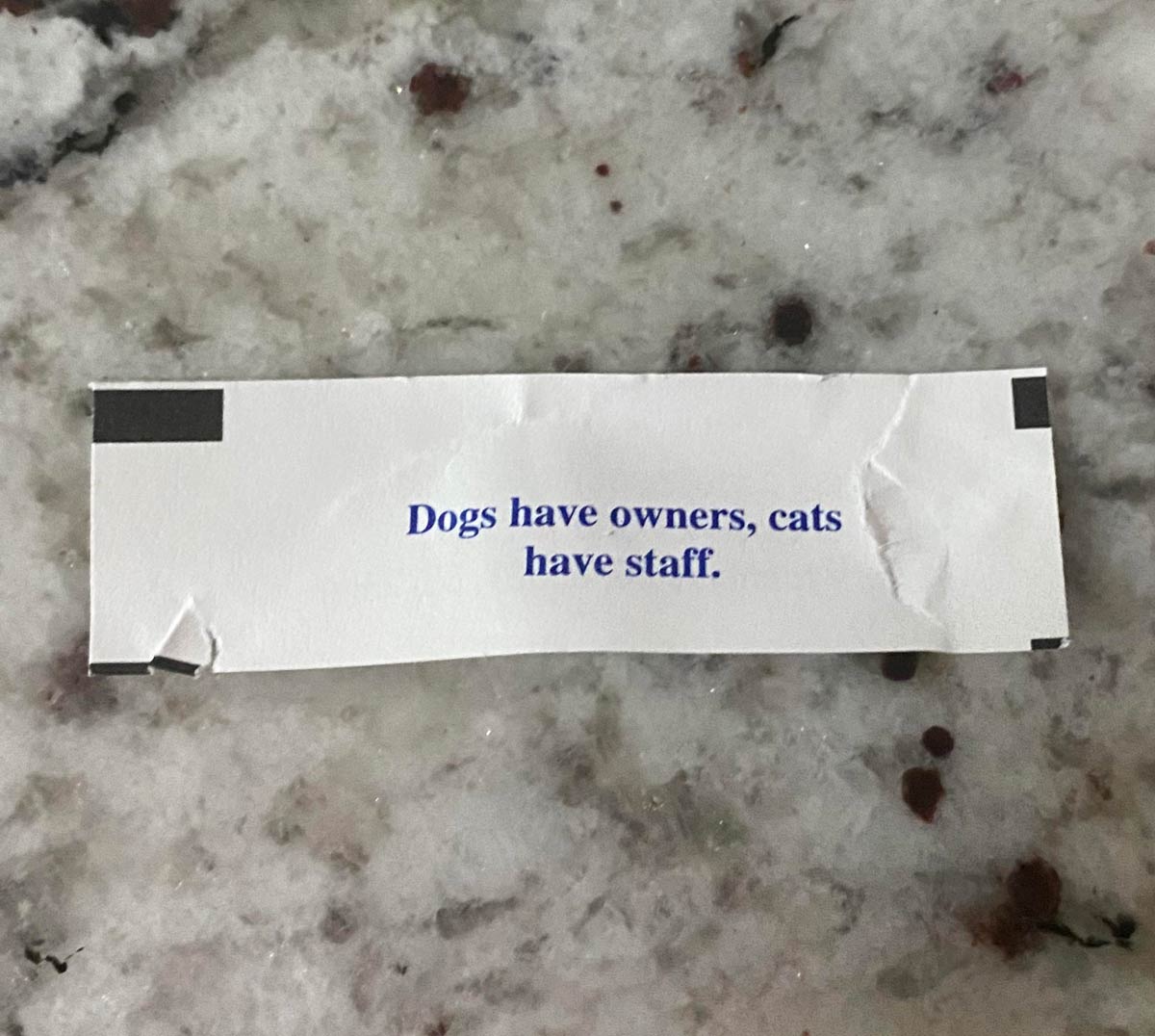 My wife’s "fortune" cookie