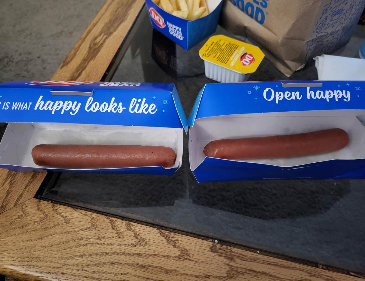 Ordered two chili dogs, Ended up with this