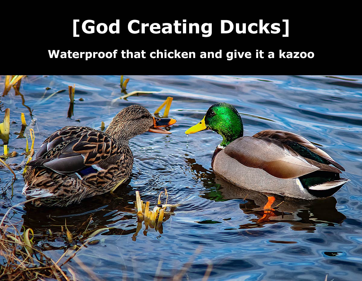 God Creating Ducks