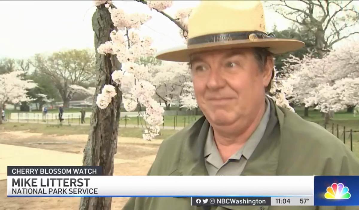 I respect this park ranger’s dedication to the cherry blossoms, but he should really consider going by Michael