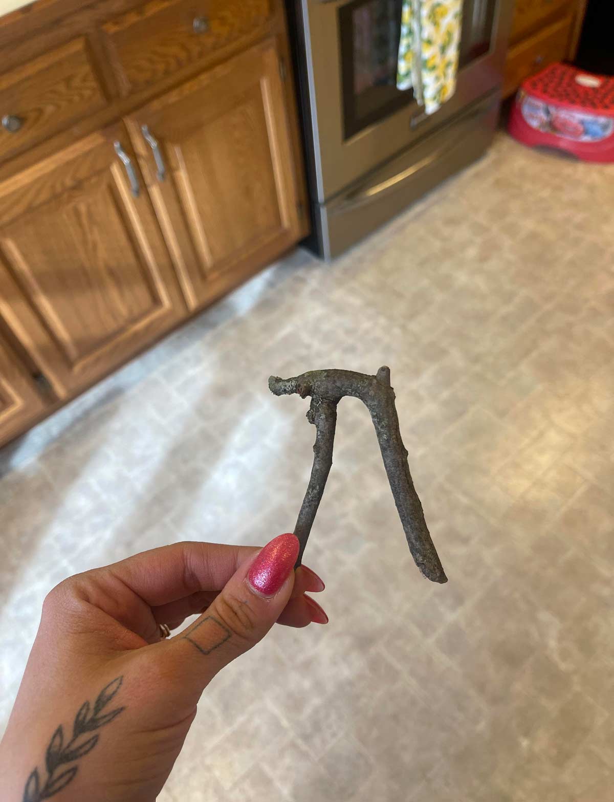 My kid came home from the bus stop and declared that he had found a "stick of pie", and needless to say, I was really confused. Then he pulled this from his jacket..