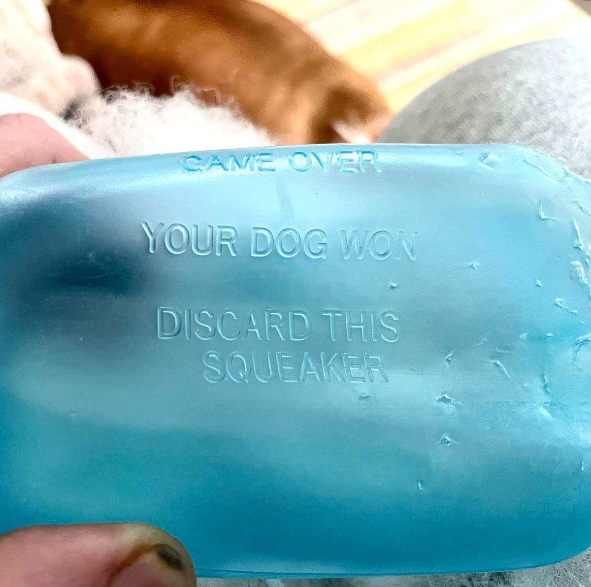 Found on the inside of a dog toy