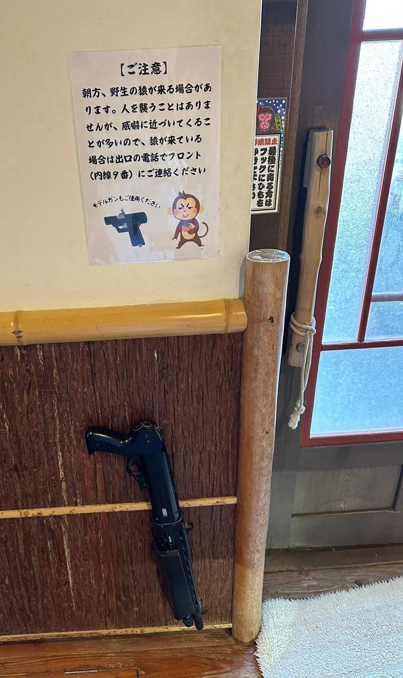 Fake gun to scare snow monkeys in a Japanese Onsen. This is only on the women's side