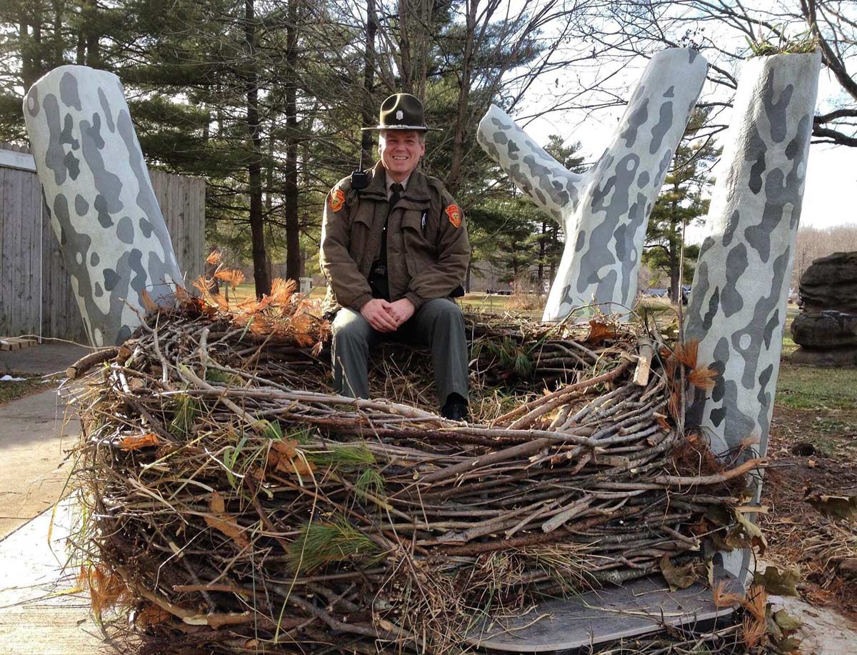 A bald eagle's nest with a park ranger for scale