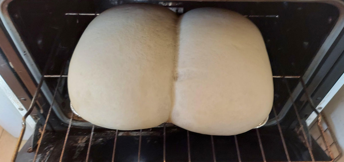 I let some bread rise overnight, should have spaced them further apart ...dat ass-dough