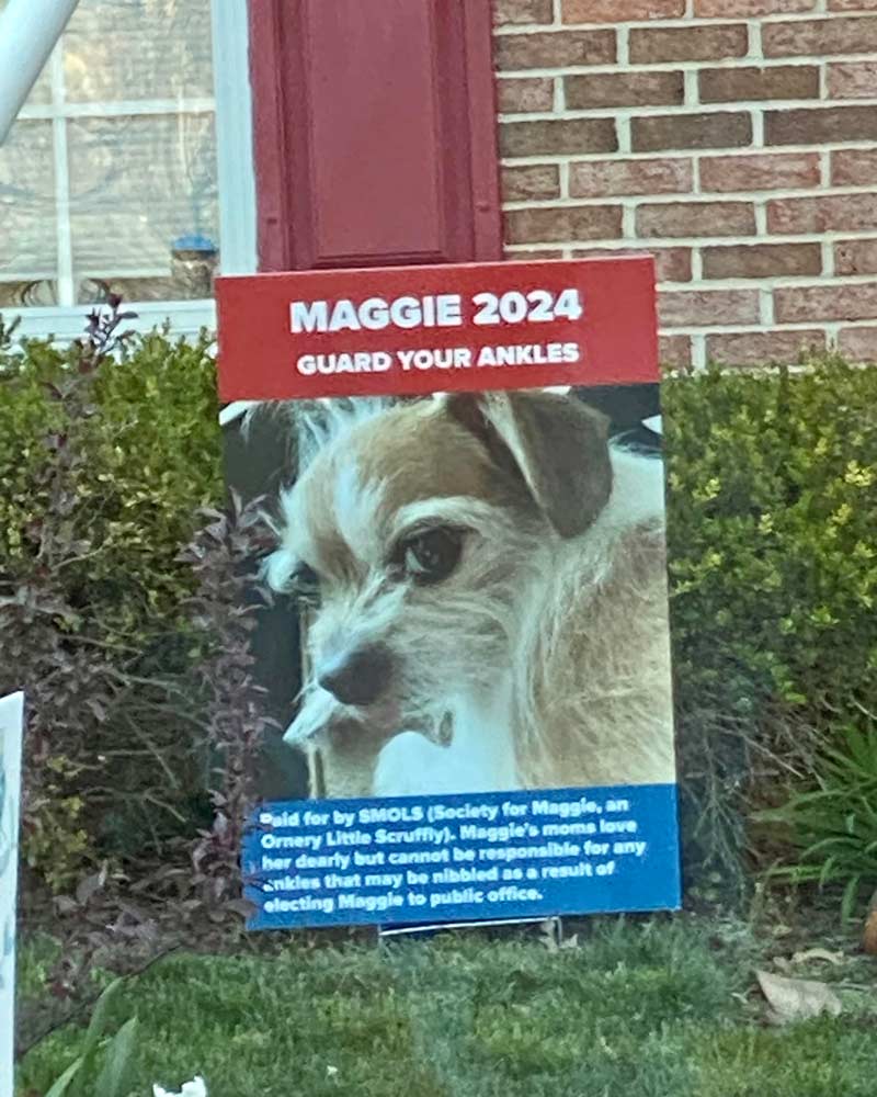Cool stuff, my neighbors campaign poster for their dog