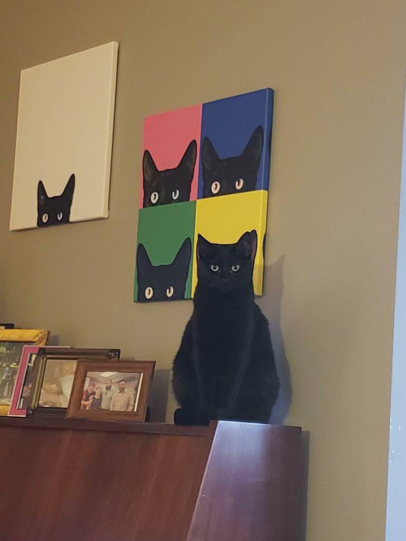 The cat has a sense of art