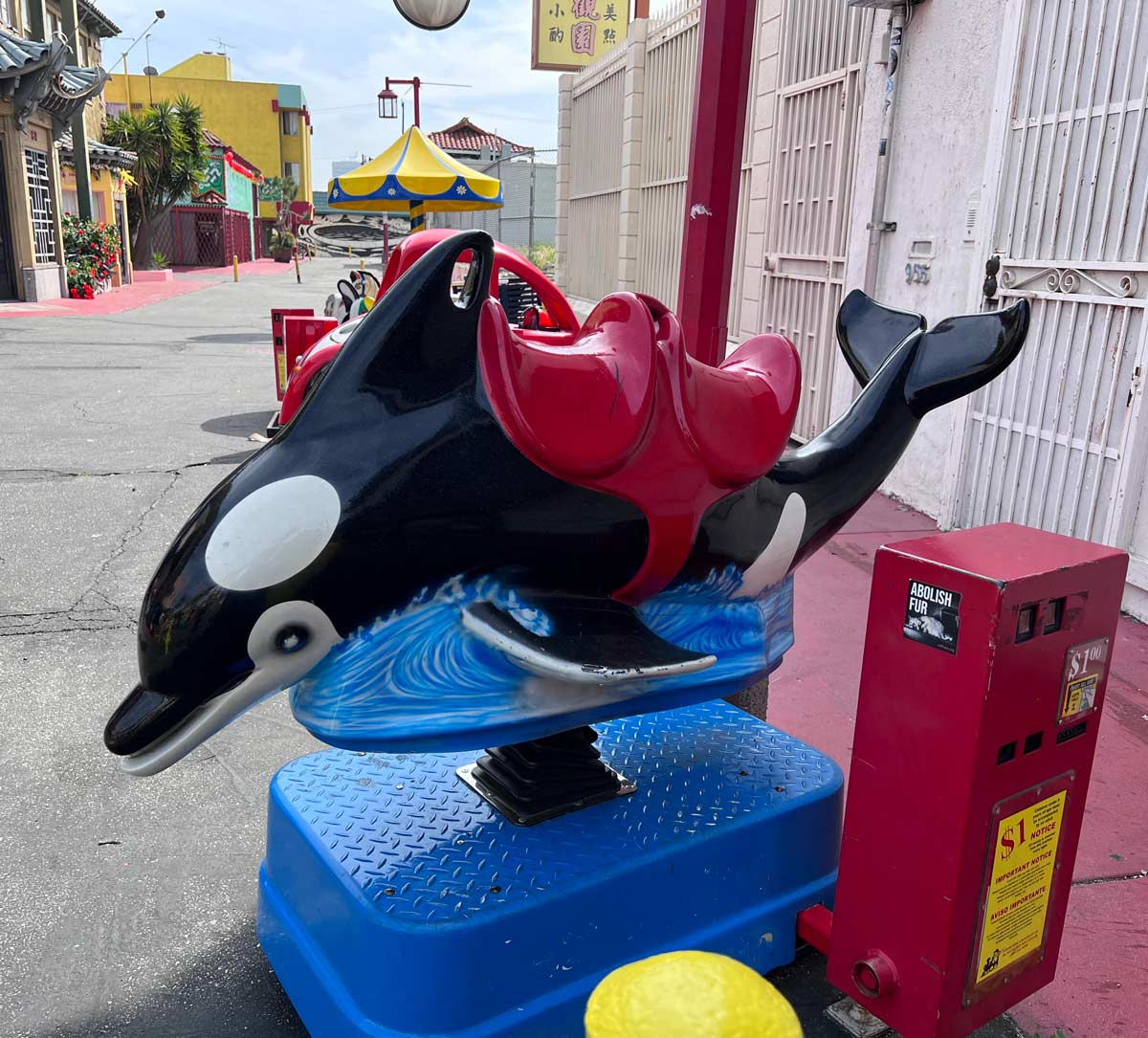 This dolphin in Chinatown is painted like a killer whale