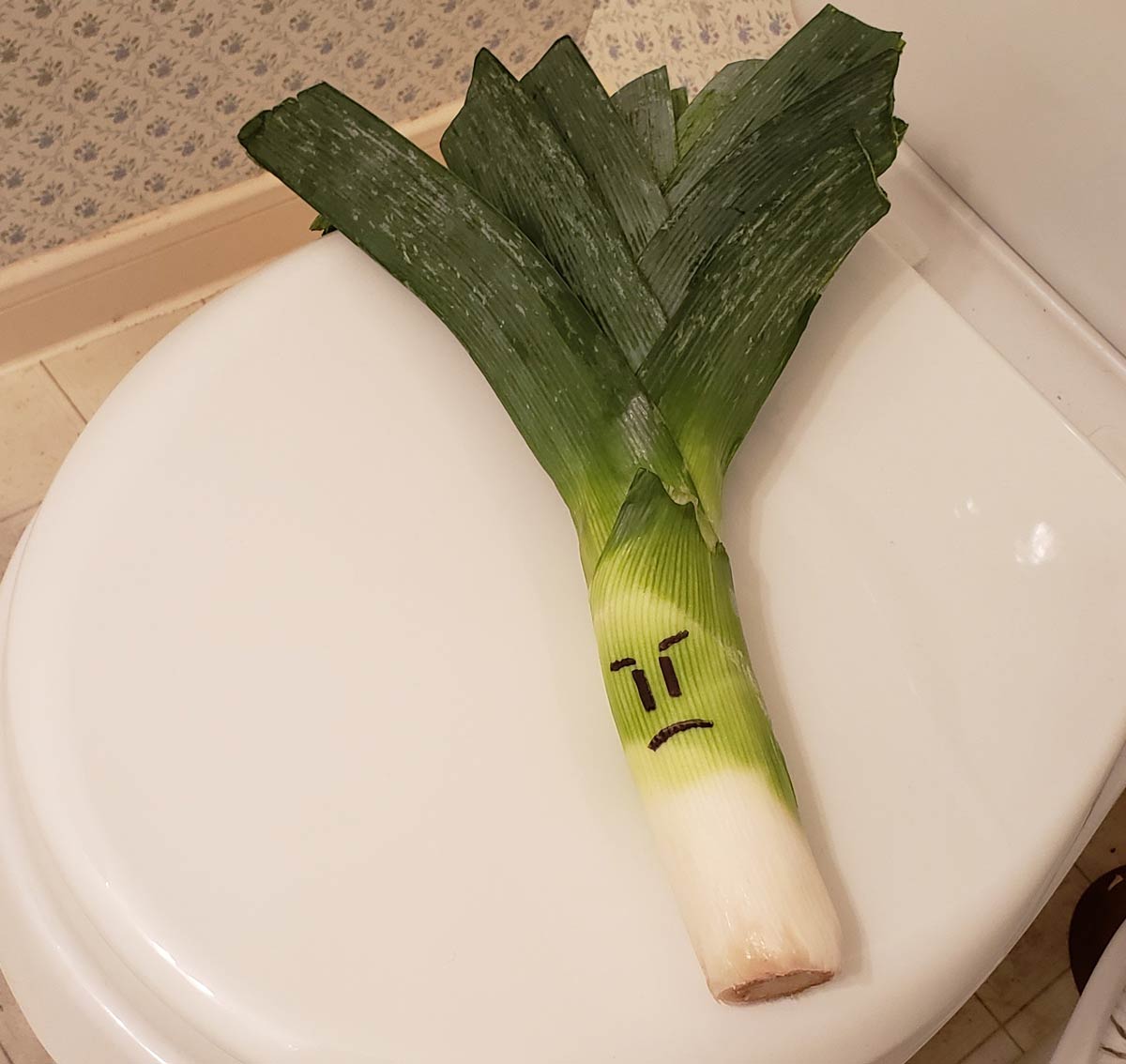 Told my parents there was a serious leak in their bathroom, they were not amused