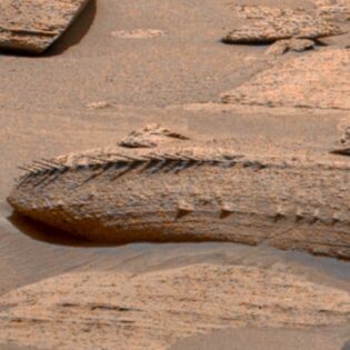 Spikes/Bones Spotted on Mars (Rover Image)