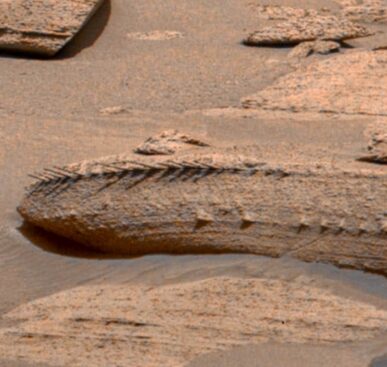 Bones/Spikes Spotted on Mars (Rover Image)
