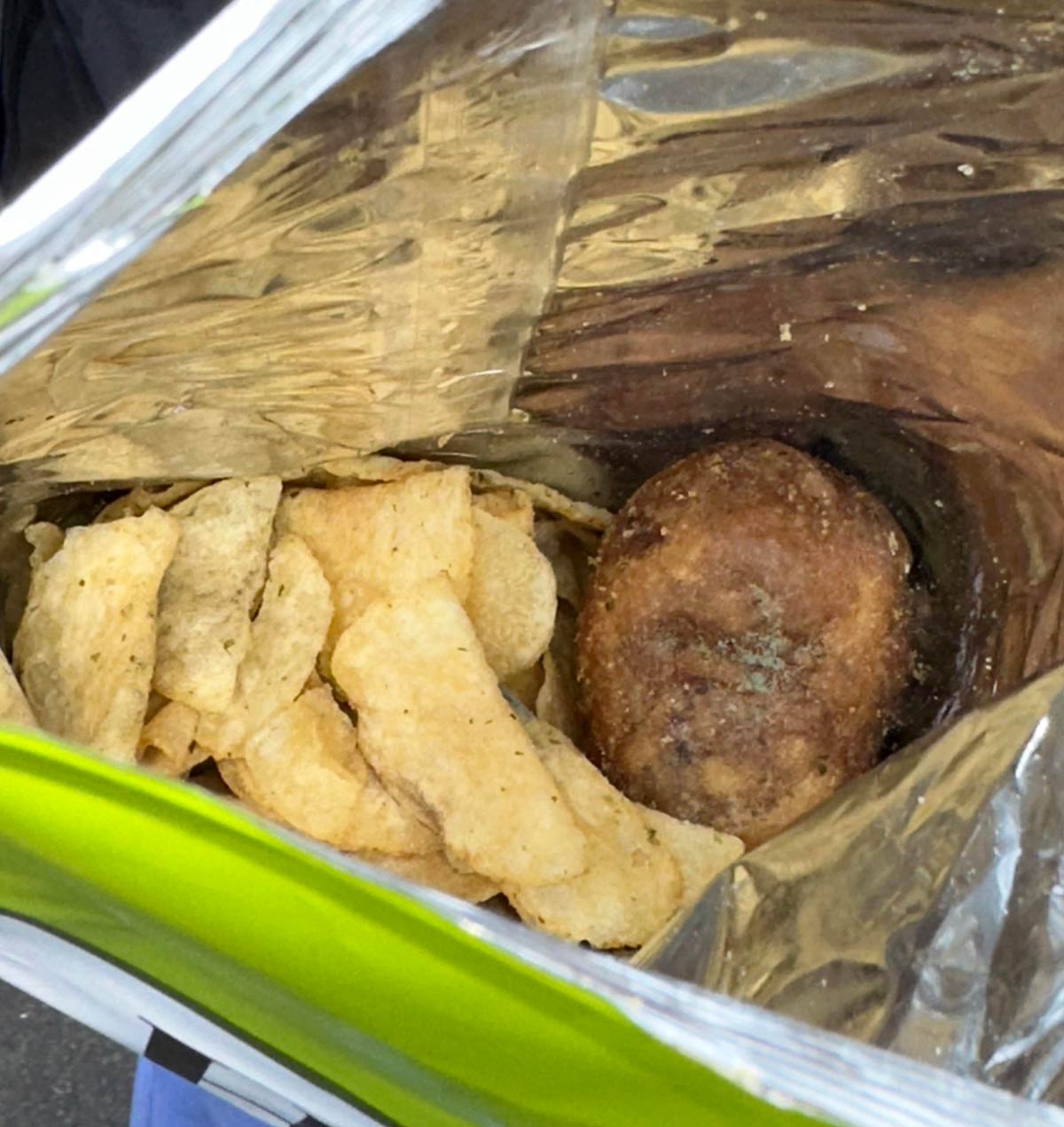 This whole potato made it into my bag of chips
