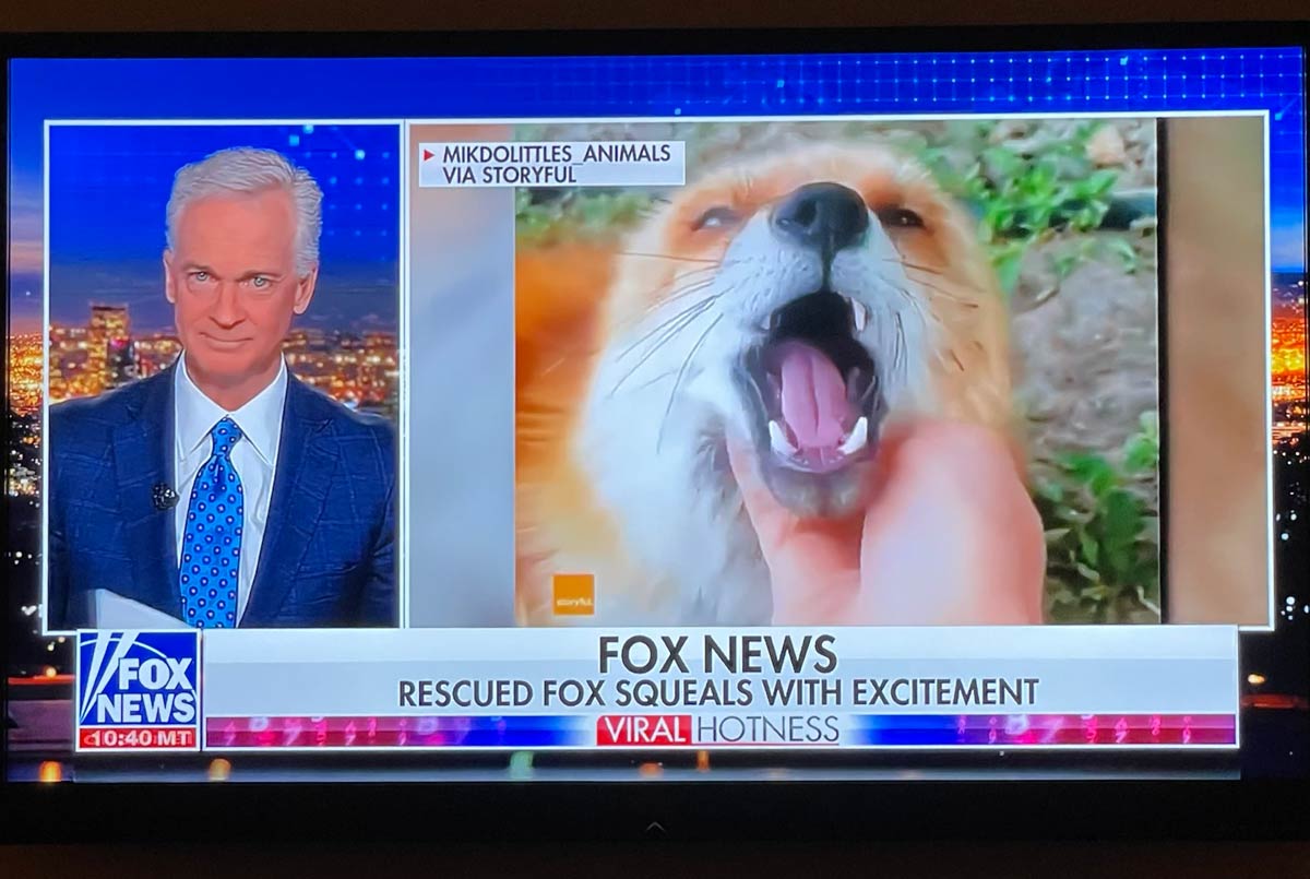 Fox News on Fox News!