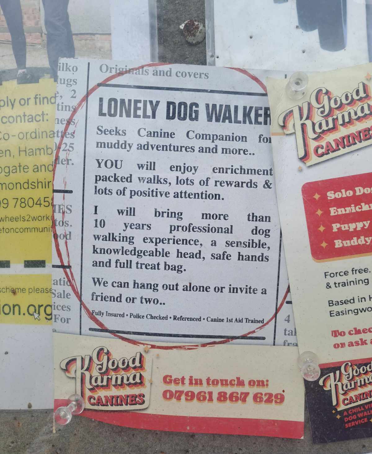 Lonely Dog Walker