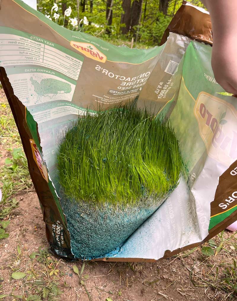 My old bag of grass seed