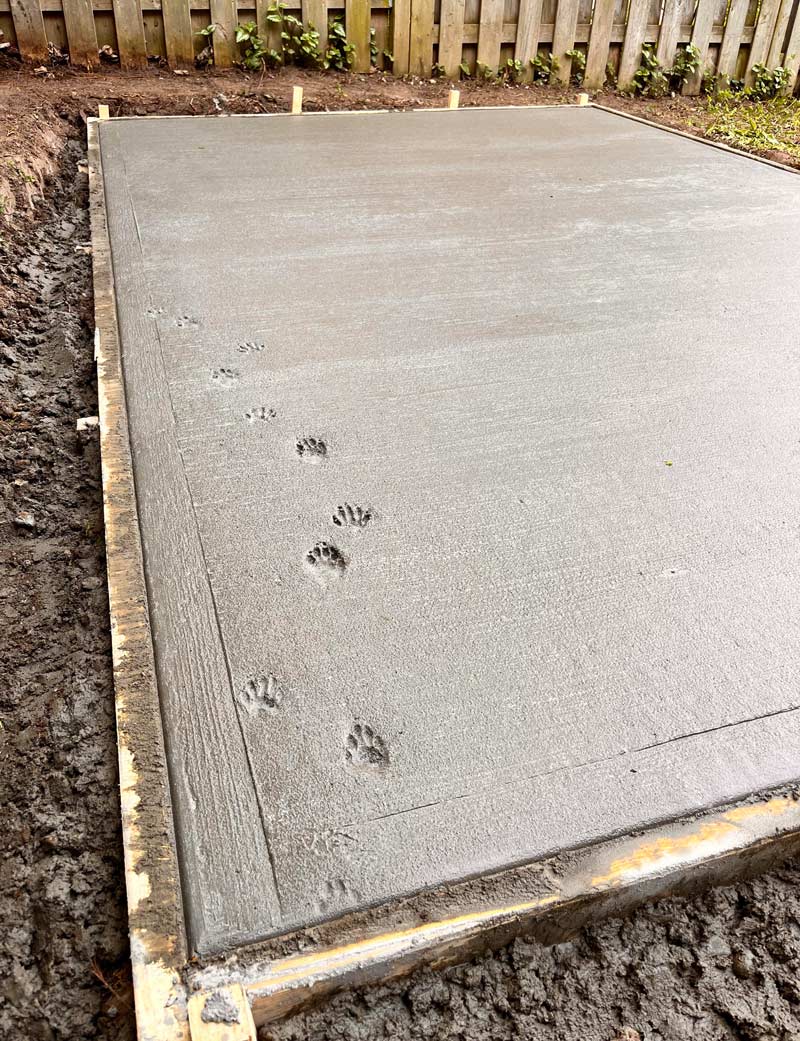 Raccoon walked across fresh concrete I put down for a shed. I’m thinking it adds character?