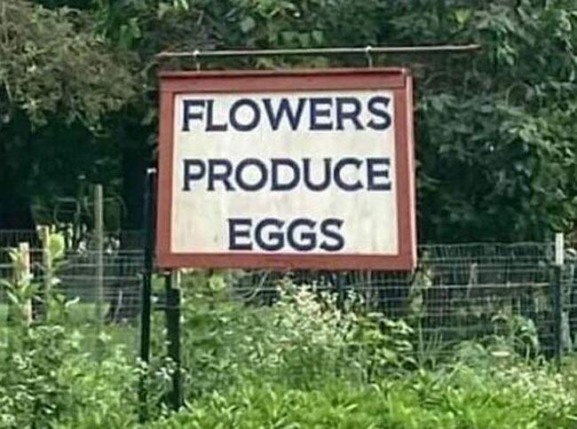 Which came first - The flower or the egg?