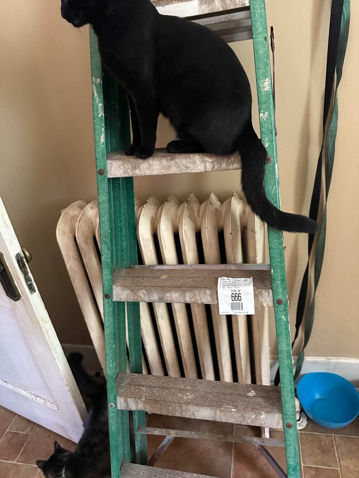 Funny Pictures May 15, 2023