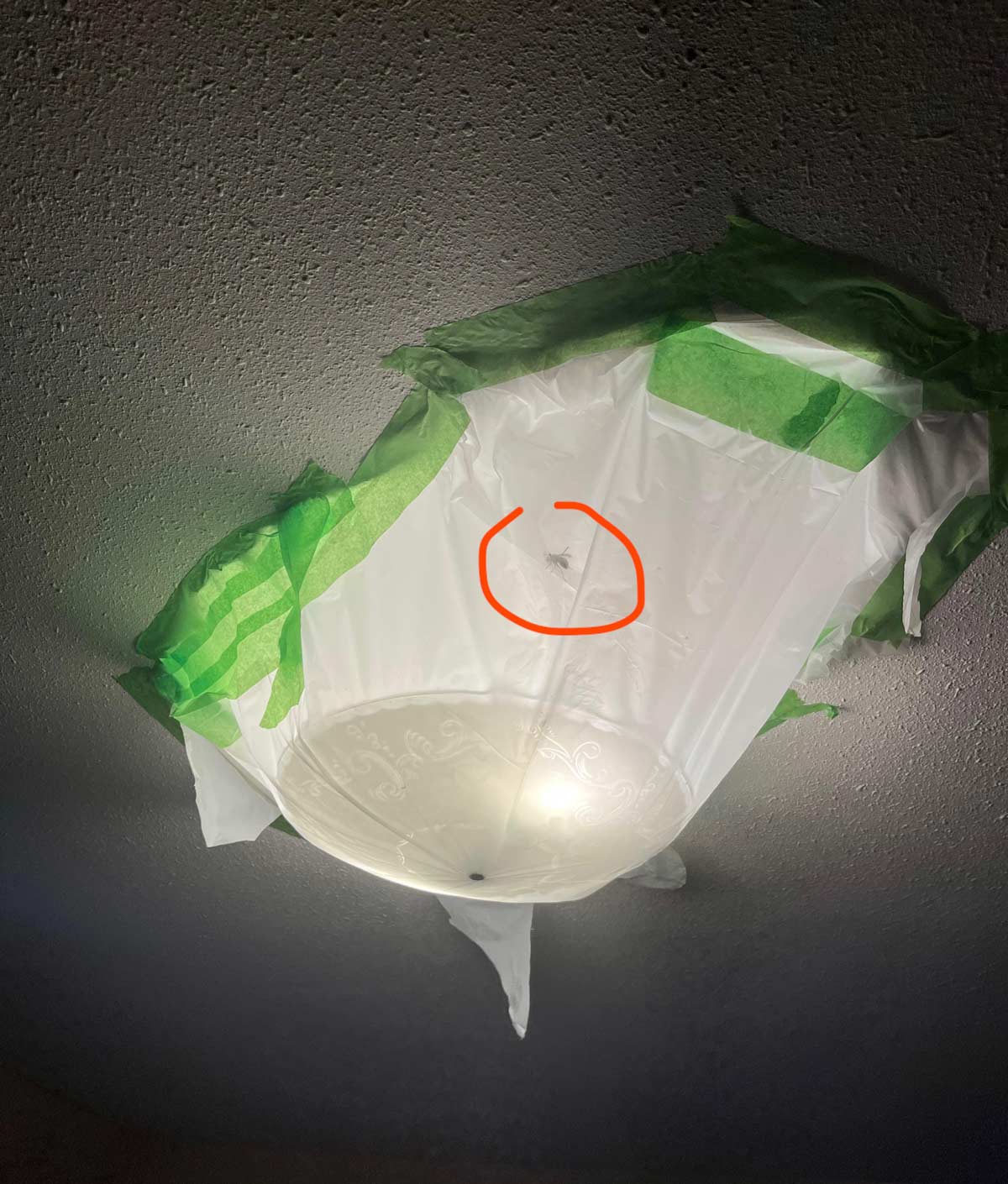 This seemed the most logical response to a wasp in my light shade