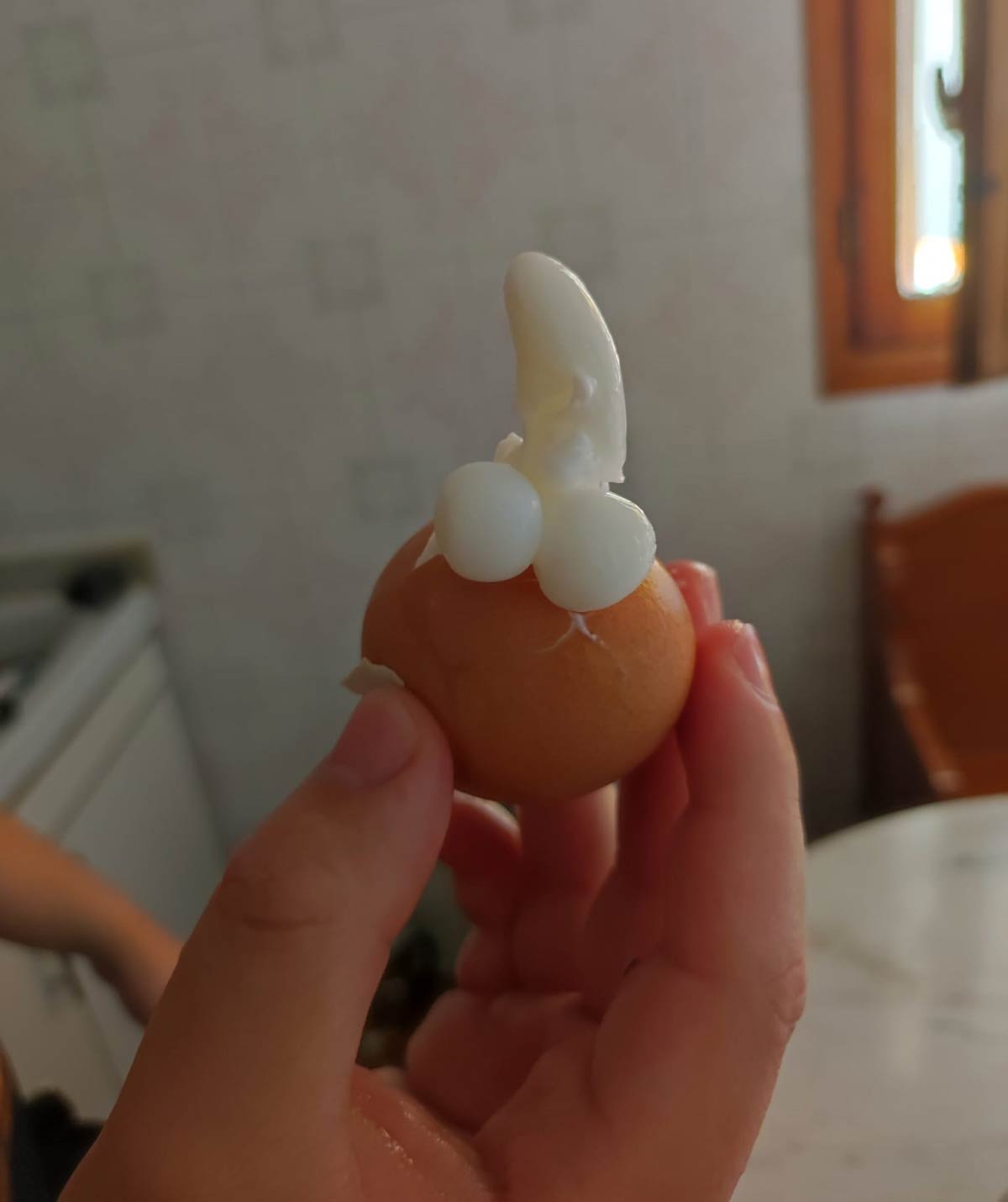 I just wanted to eat a normal egg...