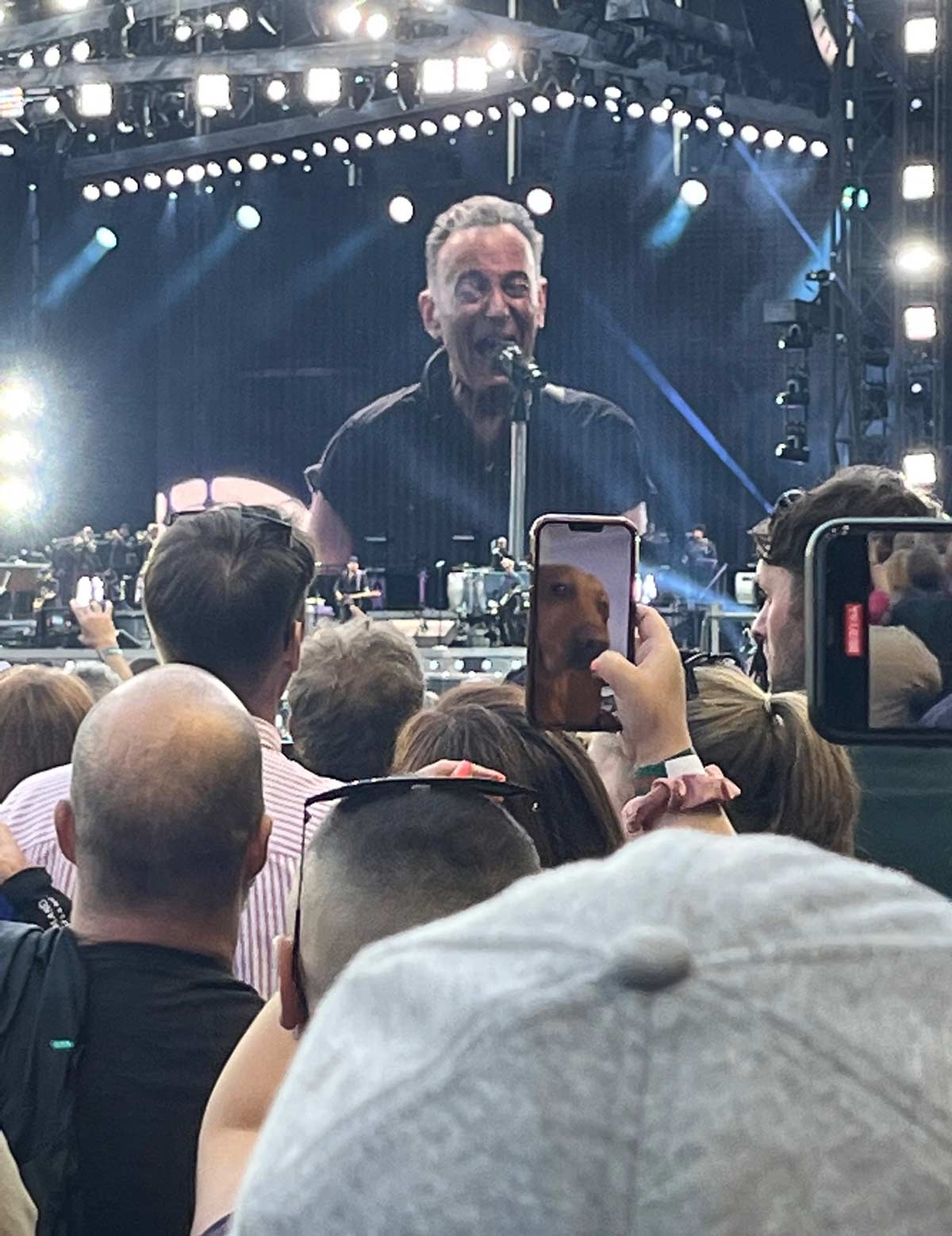 Facetiming at The Bruce Springsteen concert