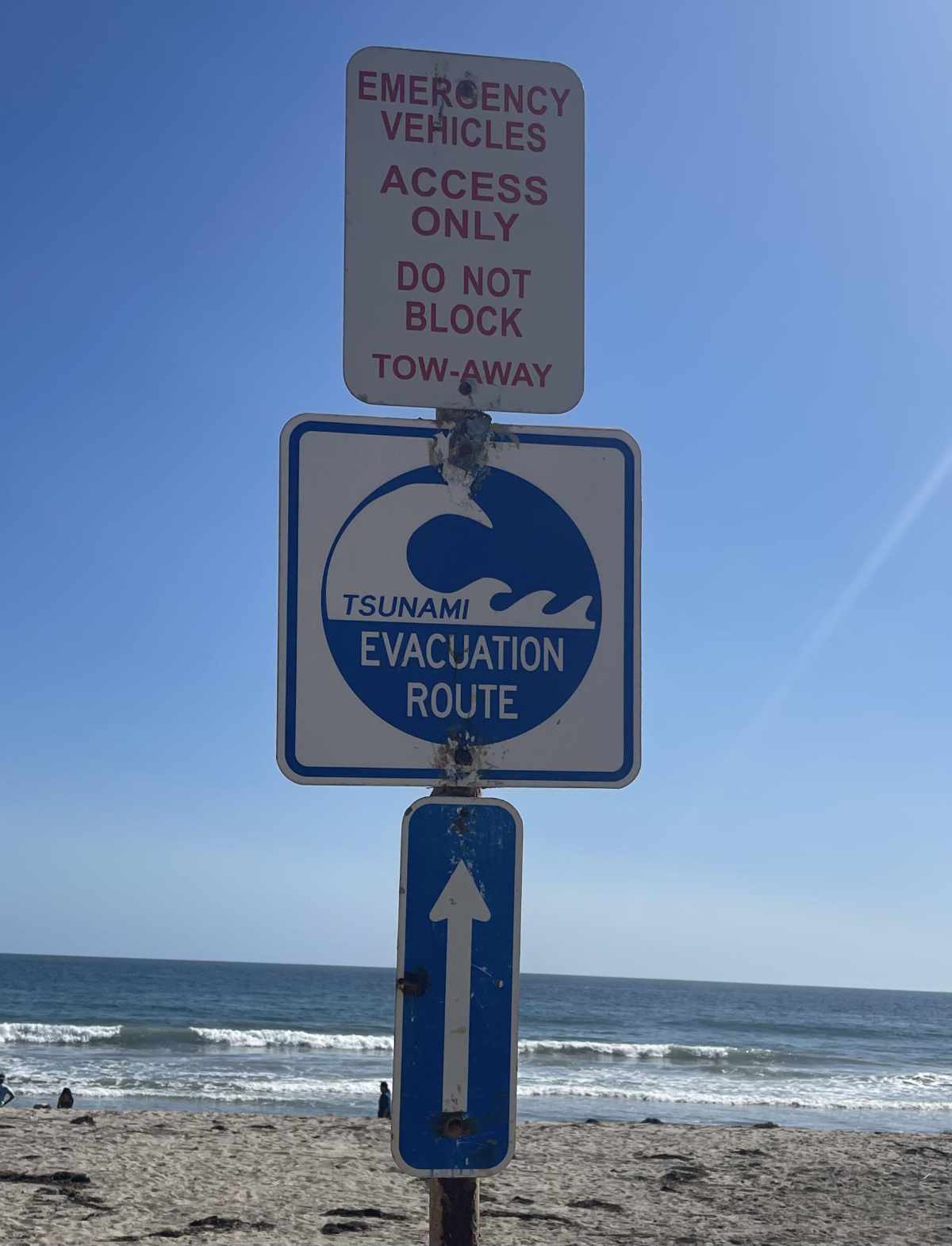 In case of tsunami, run towards the ocean