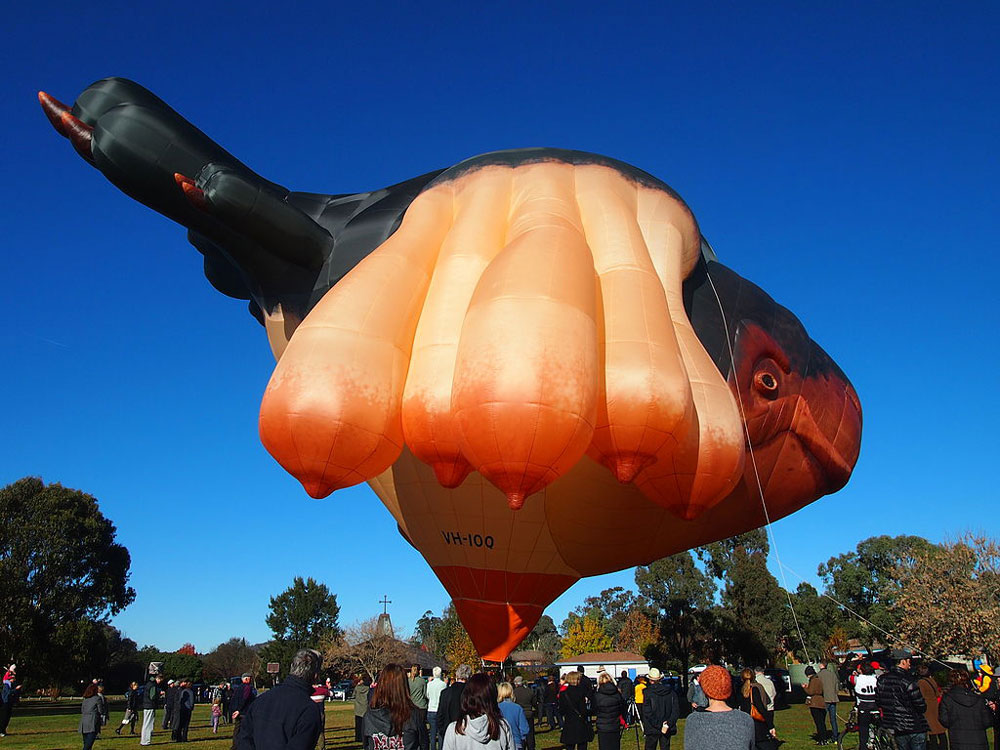The Skywhale, an artwork hot-air balloon from Canberra, Australia