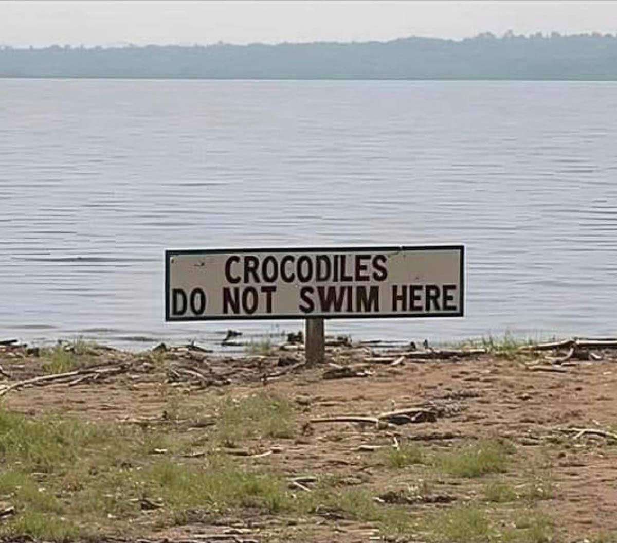 So you are saying it’s safe to swim here...