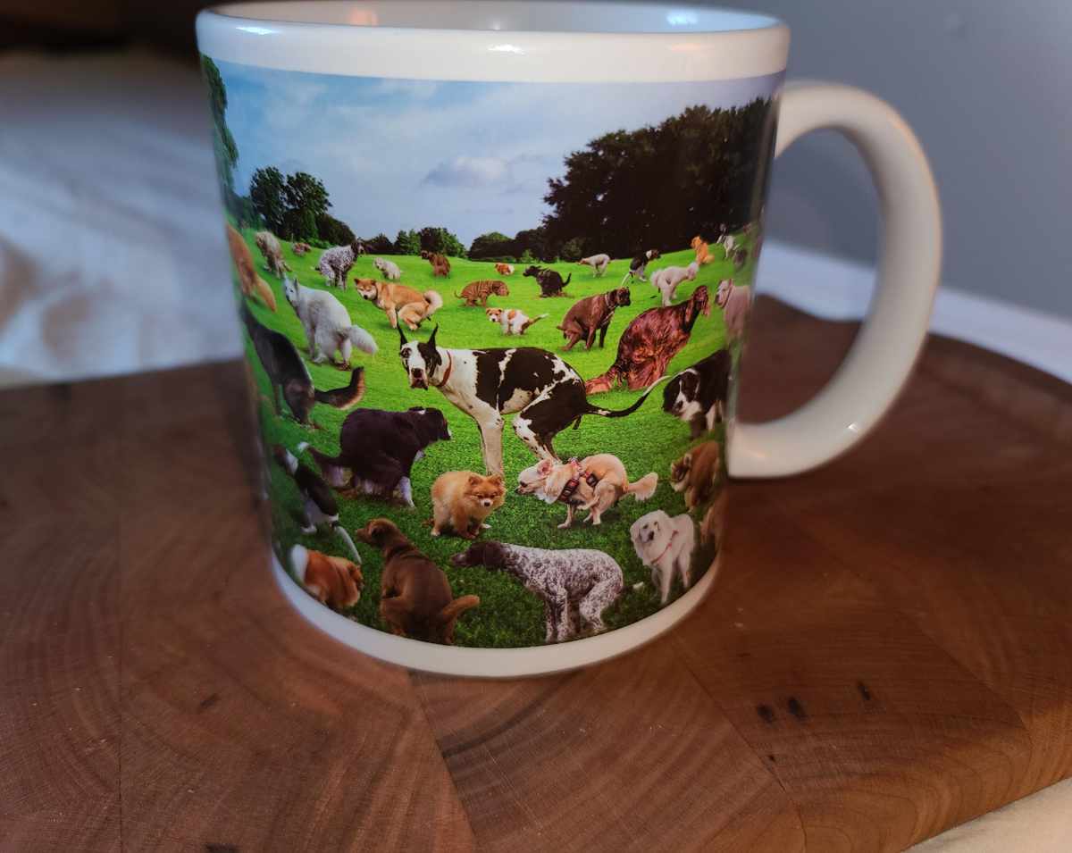 I like coffee. My kids like dogs. This is their father's day gift for me