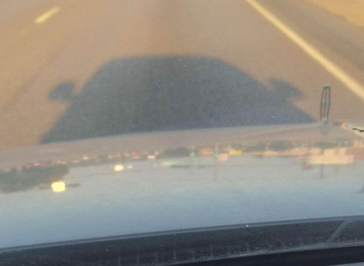 This time of year, at a certain point, at the right time of day, my car's shadow turns into Shrek