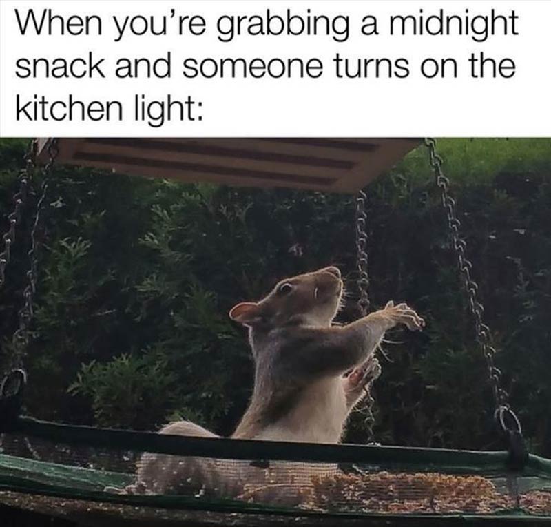 Grabbing a midnight snack