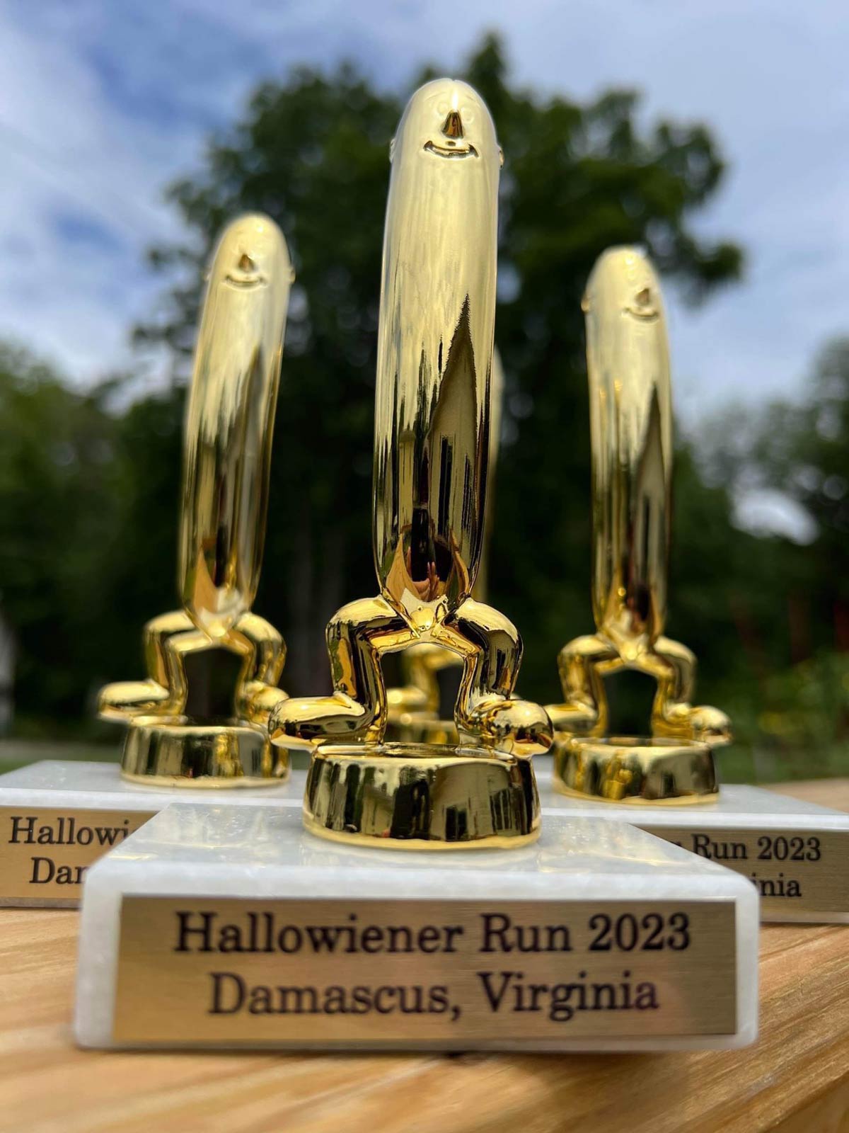 Damascus VA is having a Halloween Run / Wiener Roast and these are the trophies...