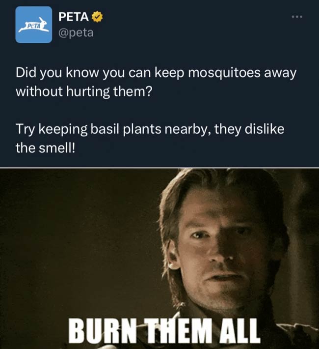 Burn them all