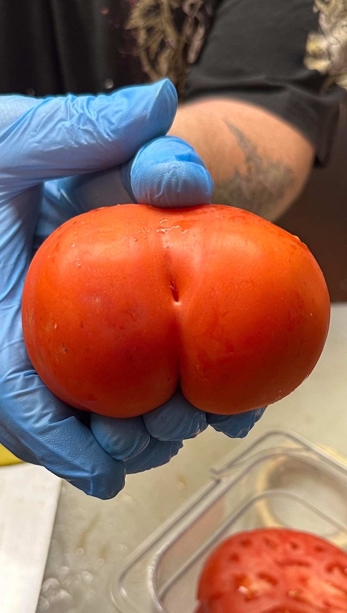 Tomato found at work today