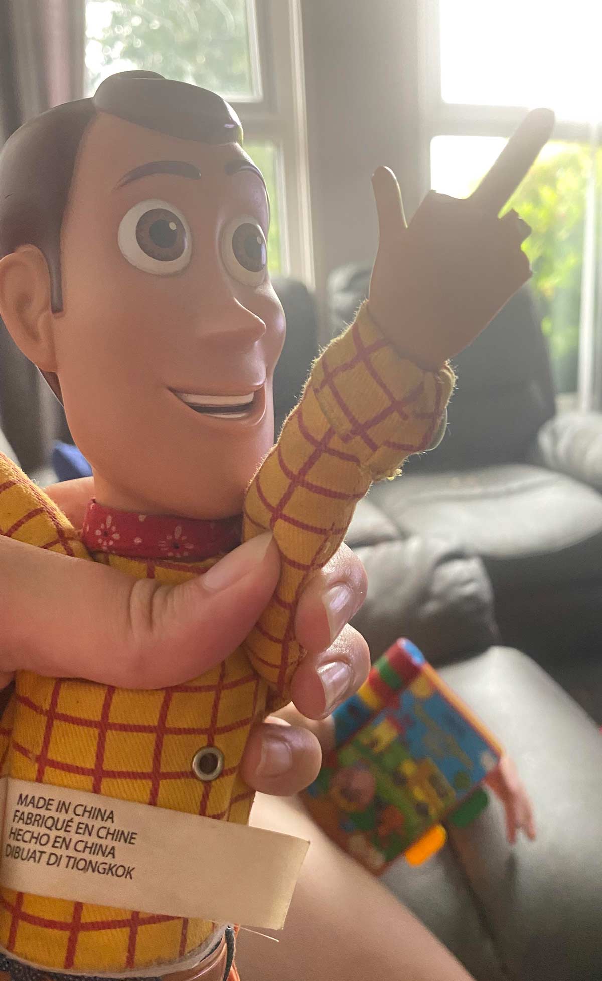 My toddlers have bit the fingers off Woody and now he’s permanently giving the finger