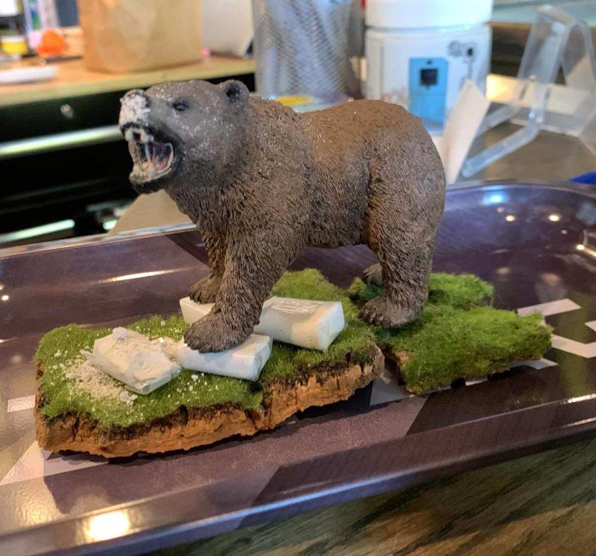 I made a cocaine bear diorama at work today (I work in a weed shop)