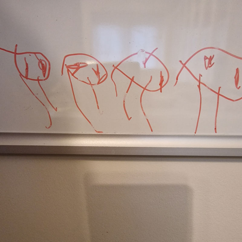 My son tells me that he has drawn the ghosts who have come to visit. He advises that there usually aren't so many, but more have come to help take me. How many days do you reckon I have left