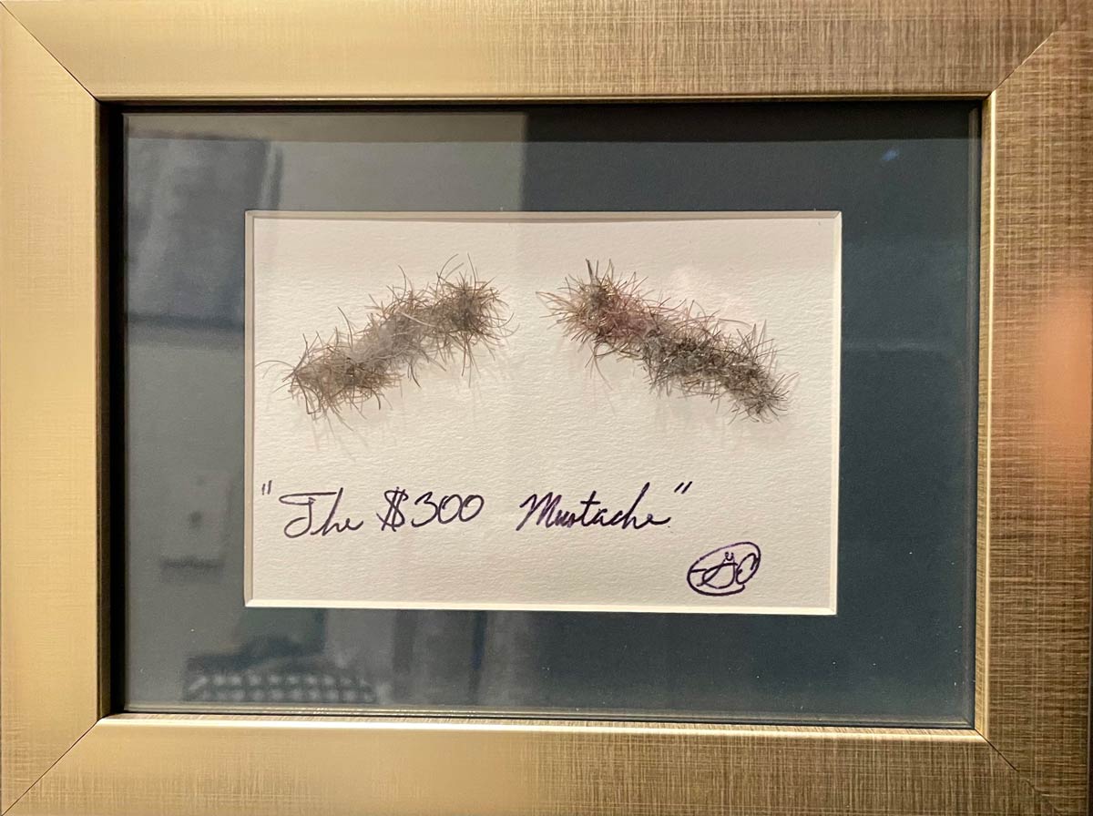 My boss offered me $300 to shave my mustache, so I framed it for him