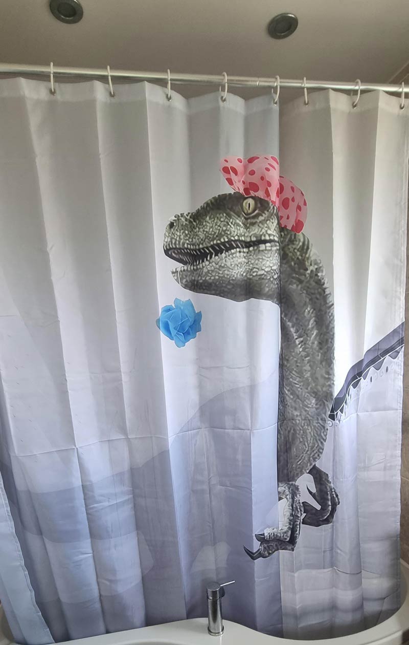 Moved house last week. Wife told me she had replaced the shower curtain yesterday. Went to shower this morning and was not disappointed