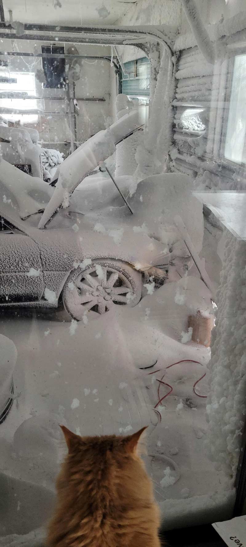Blizzard blew the man door on my garage open yesterday