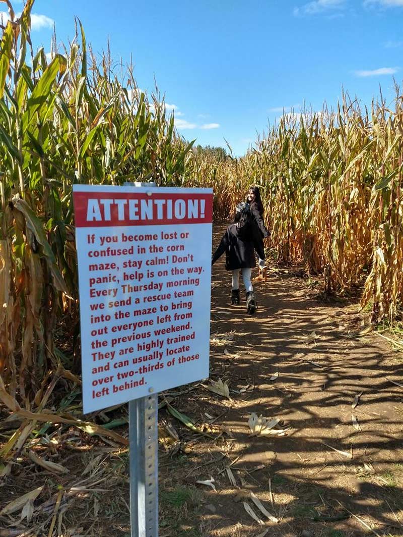 This Corn Maze Sign