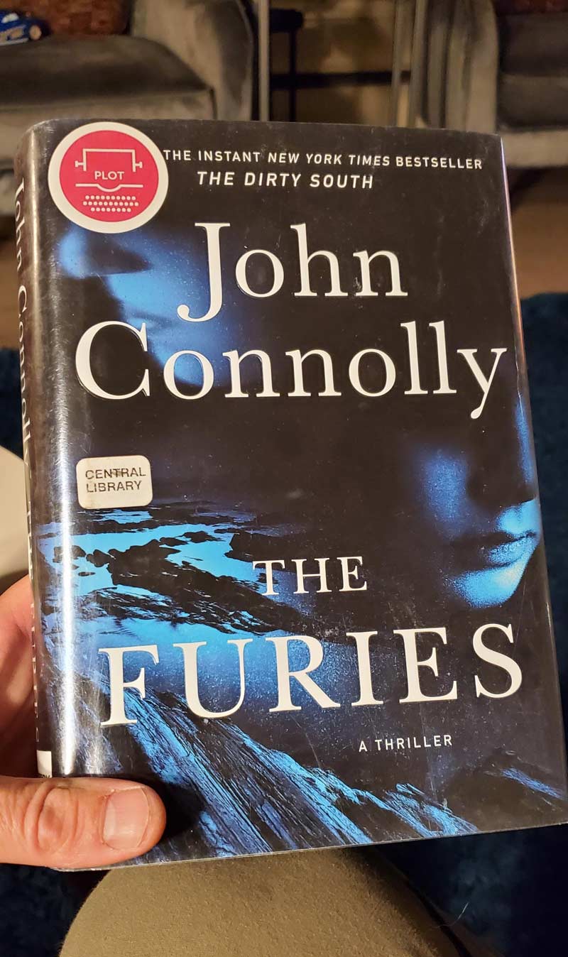 My 10 year old daughter just asked me why I'm reading a book about furries