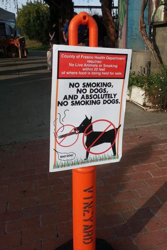 And also, don't smoke your dog
