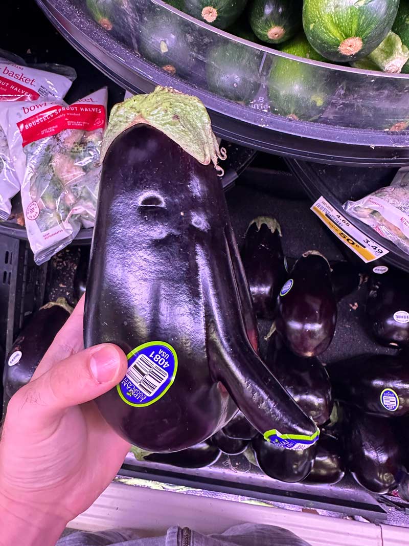 This eggplant has an “eggplant”