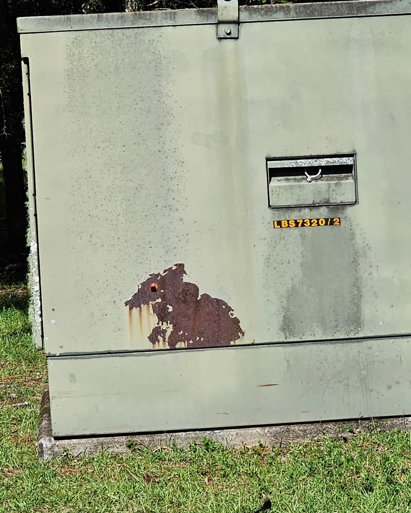 This rust that looks like a rat