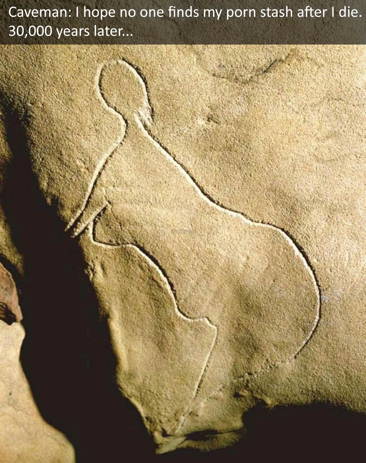 Cave etching of a nude woman, believed to be 30,000 years old, found in Grotte de Cussac, France