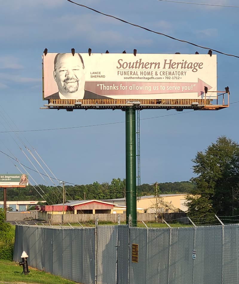 The one billboard these vultures prefer is for a funeral home