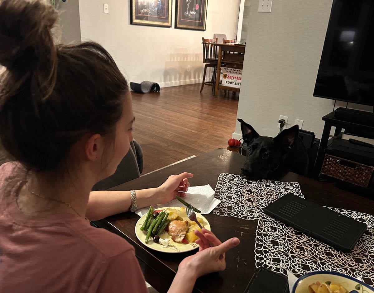 Get you someone that looks at you like my dog looks at my wife, eating dinner